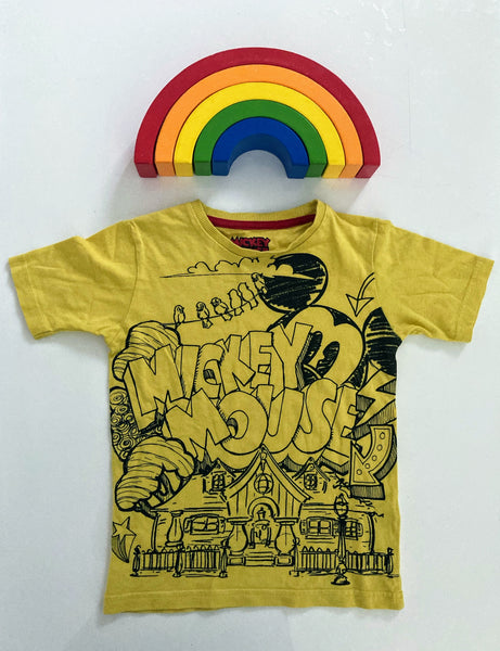 Mickey Mouse house top