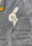 Peter rabbit overalls